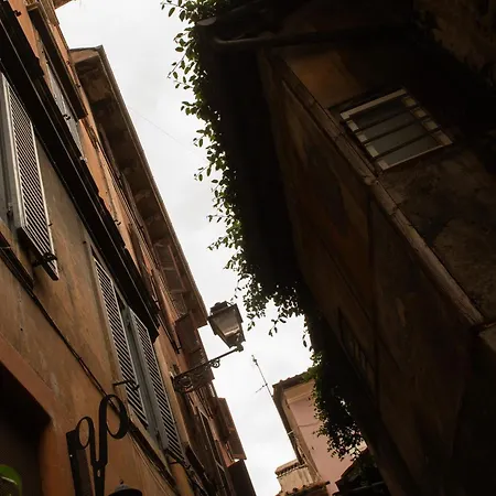 Colosseum View * روما