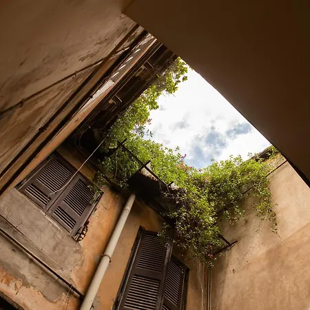 Colosseum View *