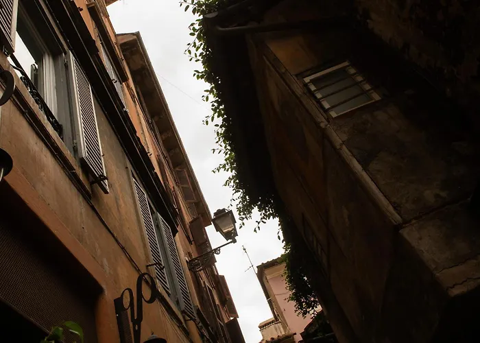 Colosseum View * Roma
