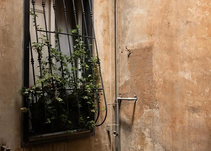 Daire Colosseum View