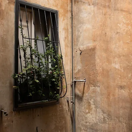 アパート Colosseum View